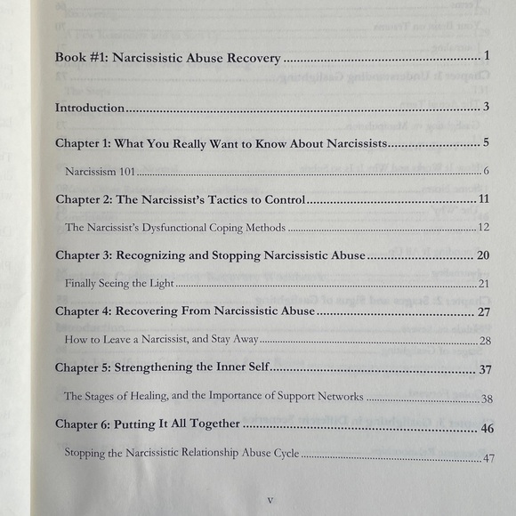 Recovery from Narcissistic Abuse and PTSD Book - Picture 4 of 10